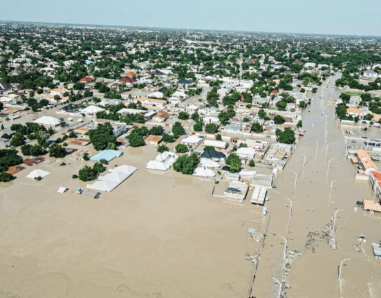 Borno flood relief committee commences verification of 7,000 victims