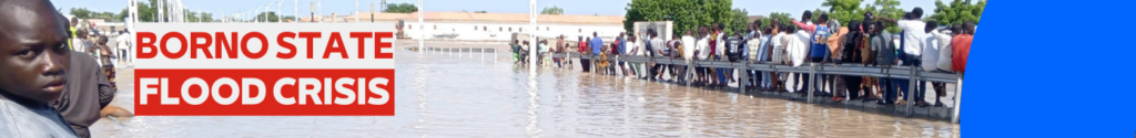 Catastrophic Flood in Maiduguri 3