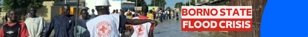 Catastrophic Flood in Maiduguri 4