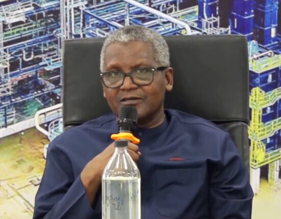 End Fuel Subsidy Now, Dangote urges FG