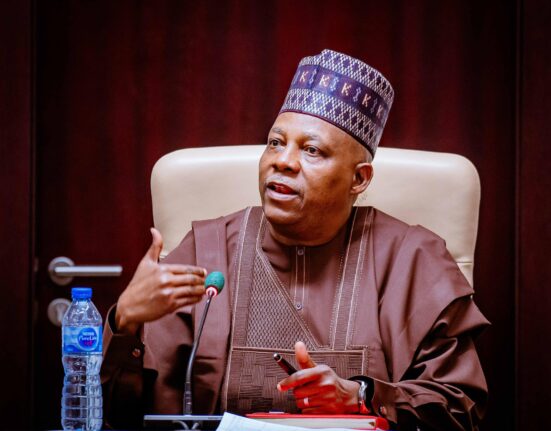 VP Shettima canvasses support for flood victims at 79th UNGA