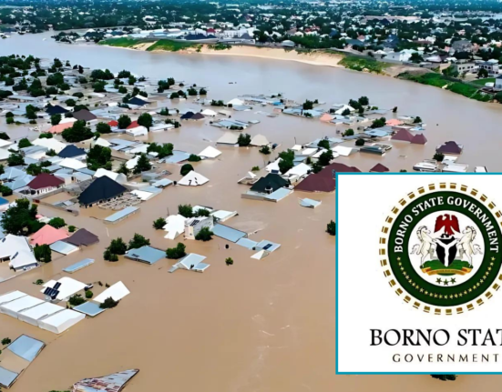 Maiduguri flood: Borno State Government says it is "a call for patience, resilience and empathy"