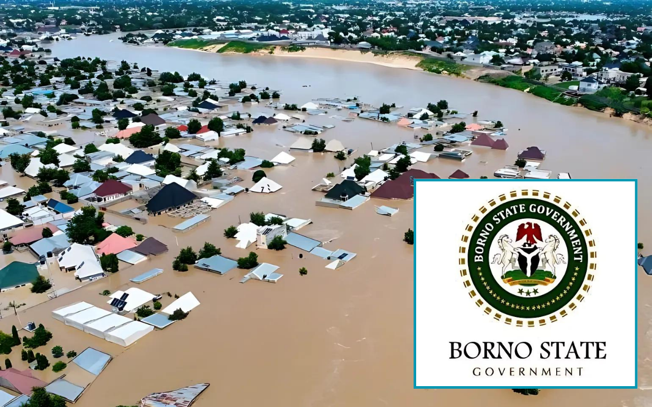 Maiduguri flood: Borno State Government says it is "a call for patience, resilience and empathy"