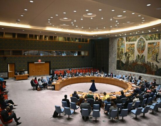 Nigeria demands permanent seats for Africa on UN Security Council