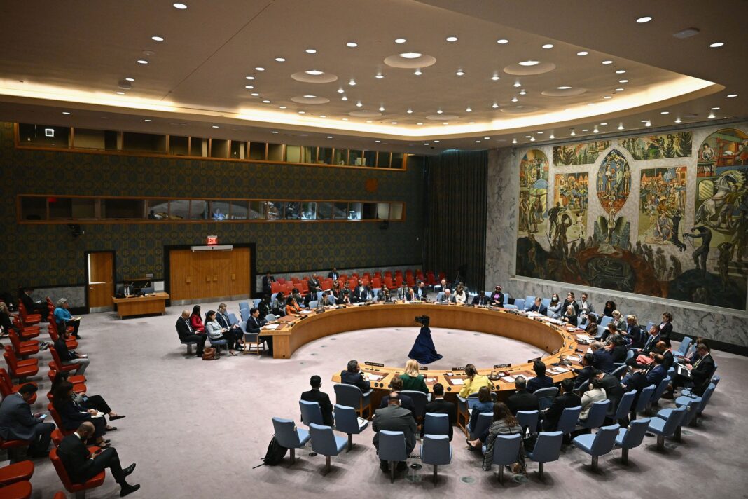 Nigeria demands permanent seats for Africa on UN Security Council