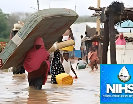 Relocate From Floodplains, NIHSA warns Nigerians