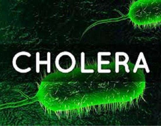 Cholera Outbreak in Nigeria Surges Past 14,200 Cases, Claims 378 Lives