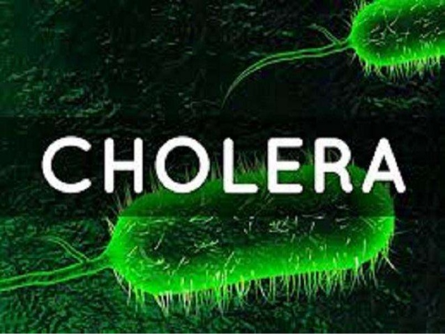 Cholera Outbreak in Nigeria Surges Past 14,200 Cases, Claims 378 Lives