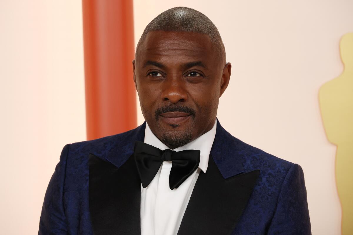 Idris Elba Plans Move to Africa to Boost Film Industry