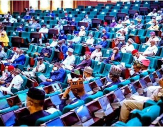 Bill on Diaspora Voting passes Second Reading at House of Representatives