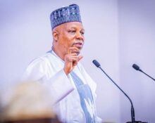 Over N300bn lost to EndBadGovernance protests, says Vice President Shettima