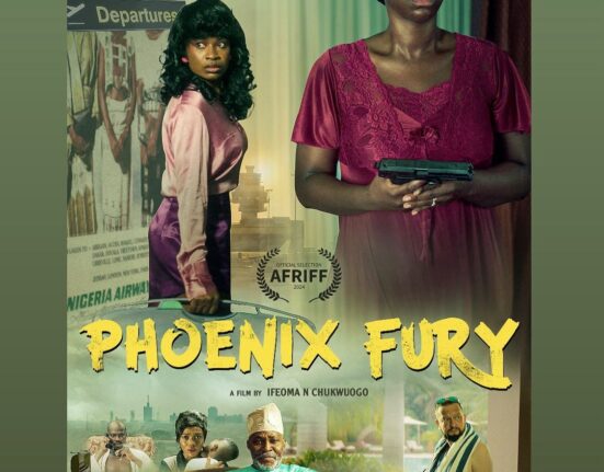 'Phoenix Fury' wins Best Film award at the 13th edition of AFRIFF