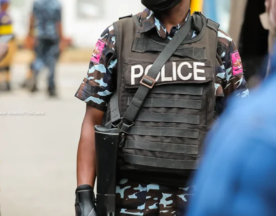 Police Arrest 17 Nigerians, 113 Foreigners For Cybercrimes, Hacking