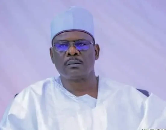 Senator Ali Ndume Opposes Tax Reform Bills, Questions Presidency's Rush