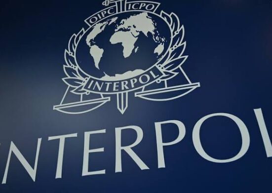 FG Arrests 10 INTERPOL-Wanted Persons in One Week