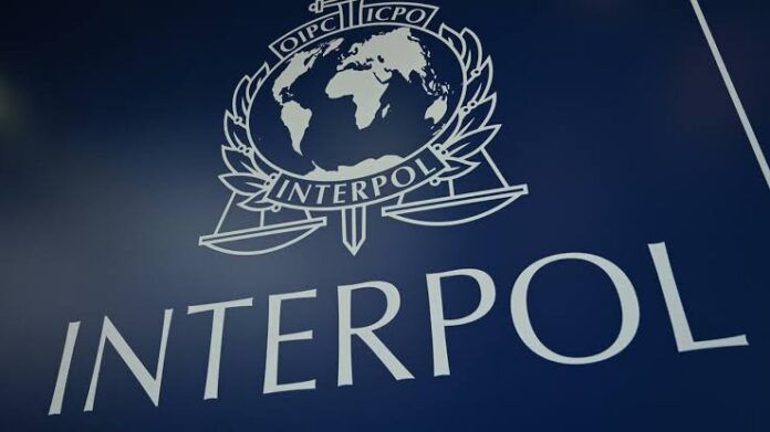 FG Arrests 10 INTERPOL-Wanted Persons in One Week