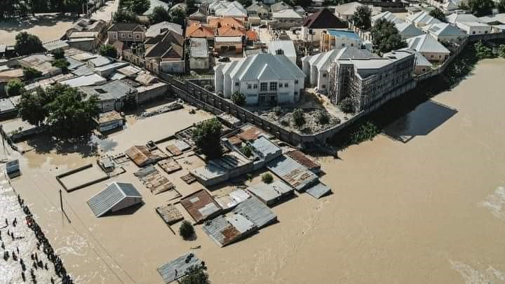 National Emergency Management Agency Addresses Recent Flood Disaster in Borno