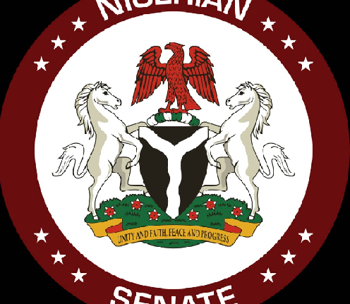 Senate Calls for Investigation into Killings in Gombe State