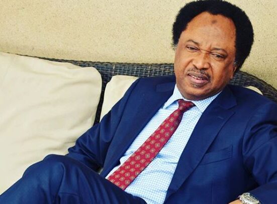 Shehu Sani Proposes Law to Curb Budget Padding by Lawmakers