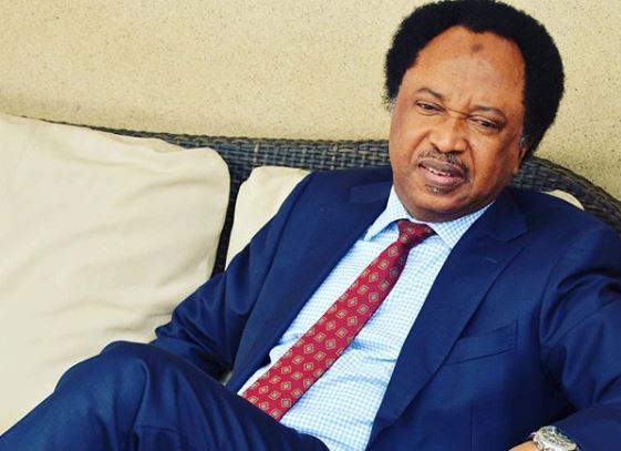 Shehu Sani Proposes Law to Curb Budget Padding by Lawmakers