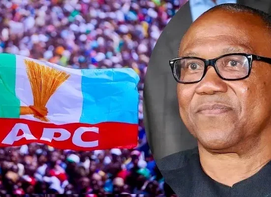 APC Slams Peter Obi's New Year Message as Misleading