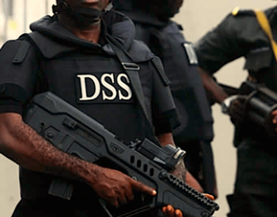 DSS Captures Suspected Gunrunner in Cross-Border Operation