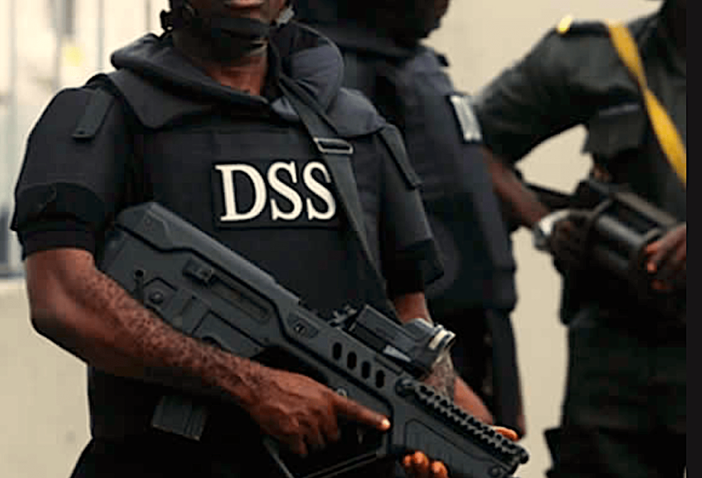 DSS Captures Suspected Gunrunner in Cross-Border Operation