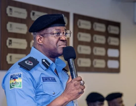 Failure to Assist Police Officers Could Lead to N100000 Fine and Jail Term Says Nigerian Police Force