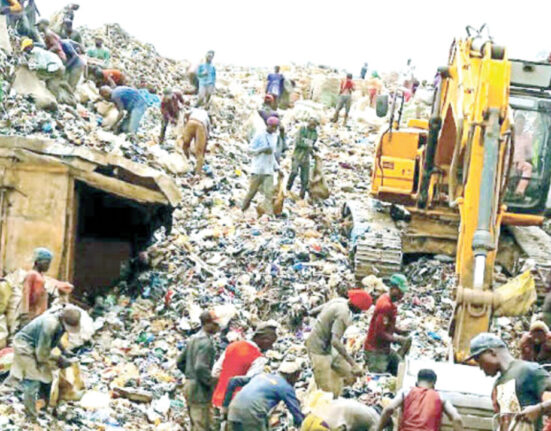 Lagos Assembly Calls for Enforcement of Environmental Protection Law to Curb Scavenger Activities