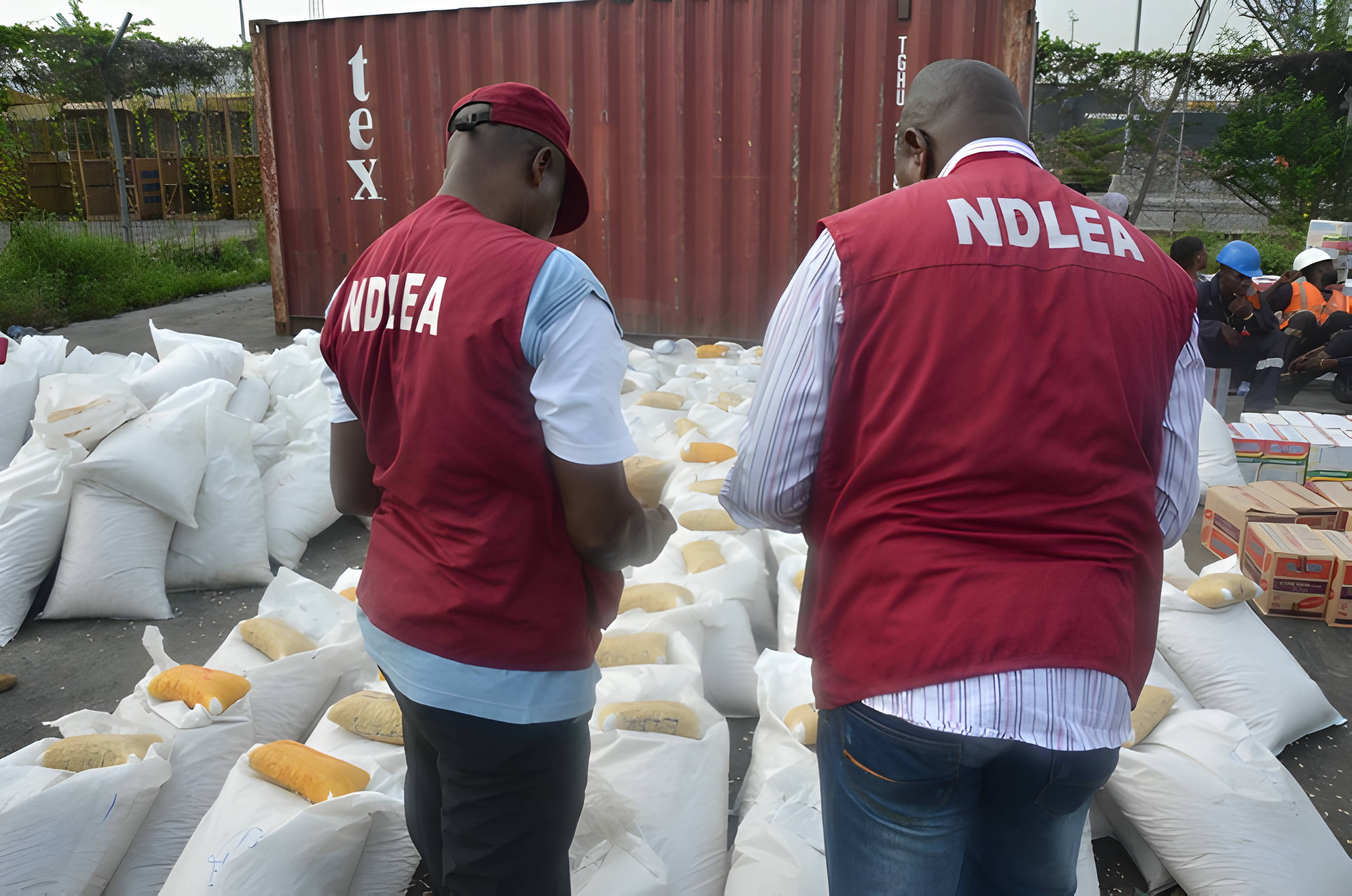 NDLEA Seizes 779kg of Illicit Drugs in Akwa Ibom