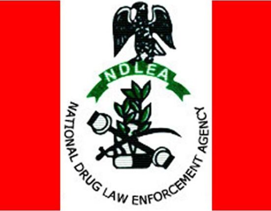 NDLEA Seizes Over 339,000kg of Drugs in Lagos, Arrests 38 Suspects