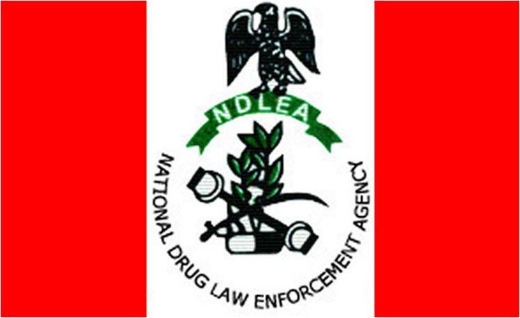 NDLEA Seizes Over 339,000kg of Drugs in Lagos, Arrests 38 Suspects