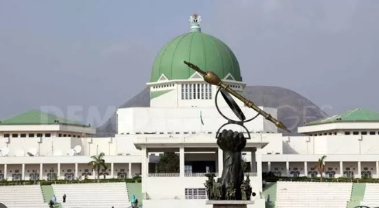 National Assembly Raises Revenue Targets for Customs and NDIC