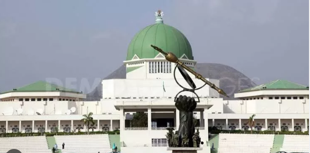 National Assembly Raises Revenue Targets for Customs and NDIC