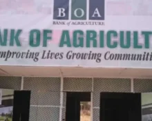 Nigeria to Finalise Bank of Agriculture Recapitalisation by Q1 2025