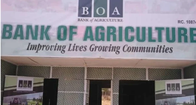 Nigeria to Finalise Bank of Agriculture Recapitalisation by Q1 2025