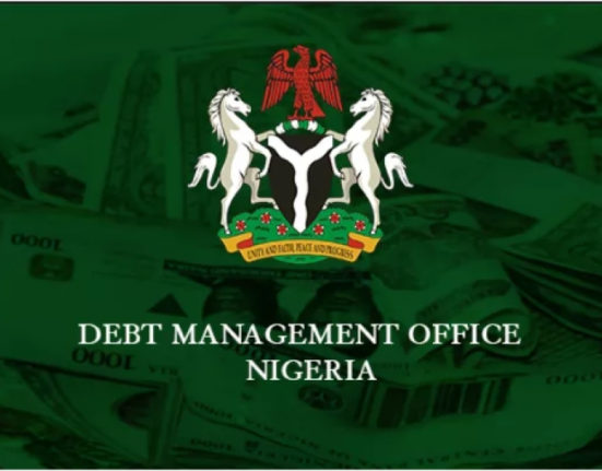 Nigeria's Debt Servicing Well-Provisioned in 2025 Budget, Says Debt Management Office