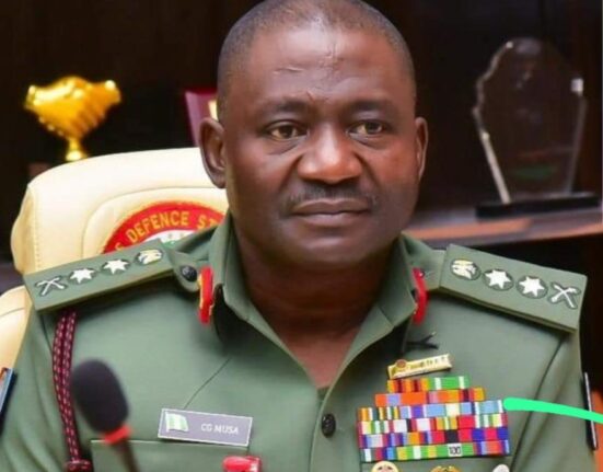 Nigeria's Defence Chief Calls for Global Action Against Terrorist Funding