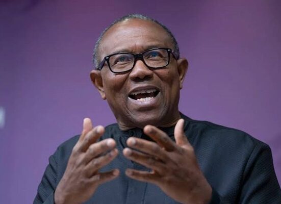 No Merger Yet with PDP or NNPP, Says Peter Obi Ahead of 2027 Elections