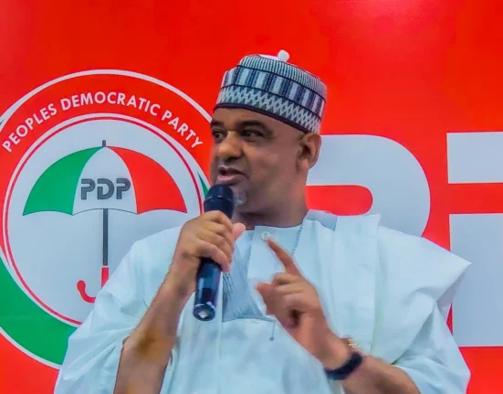 PDP Acting National Chairman blames leaders for party crisis, promises February NEC meeting