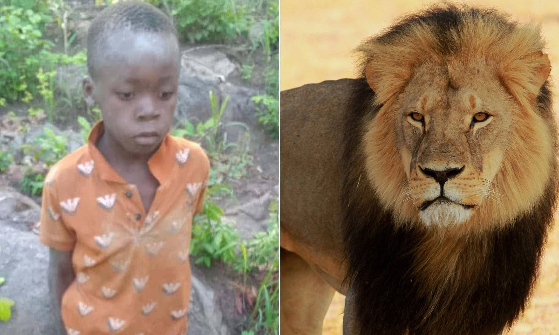 Seven-Year-Old Boy Found Alive After Five Days Lost in Lion Habitat