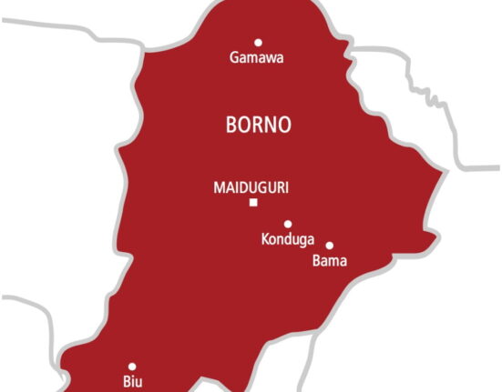 UN Condemns Mass Killing of Civilians in Borno State