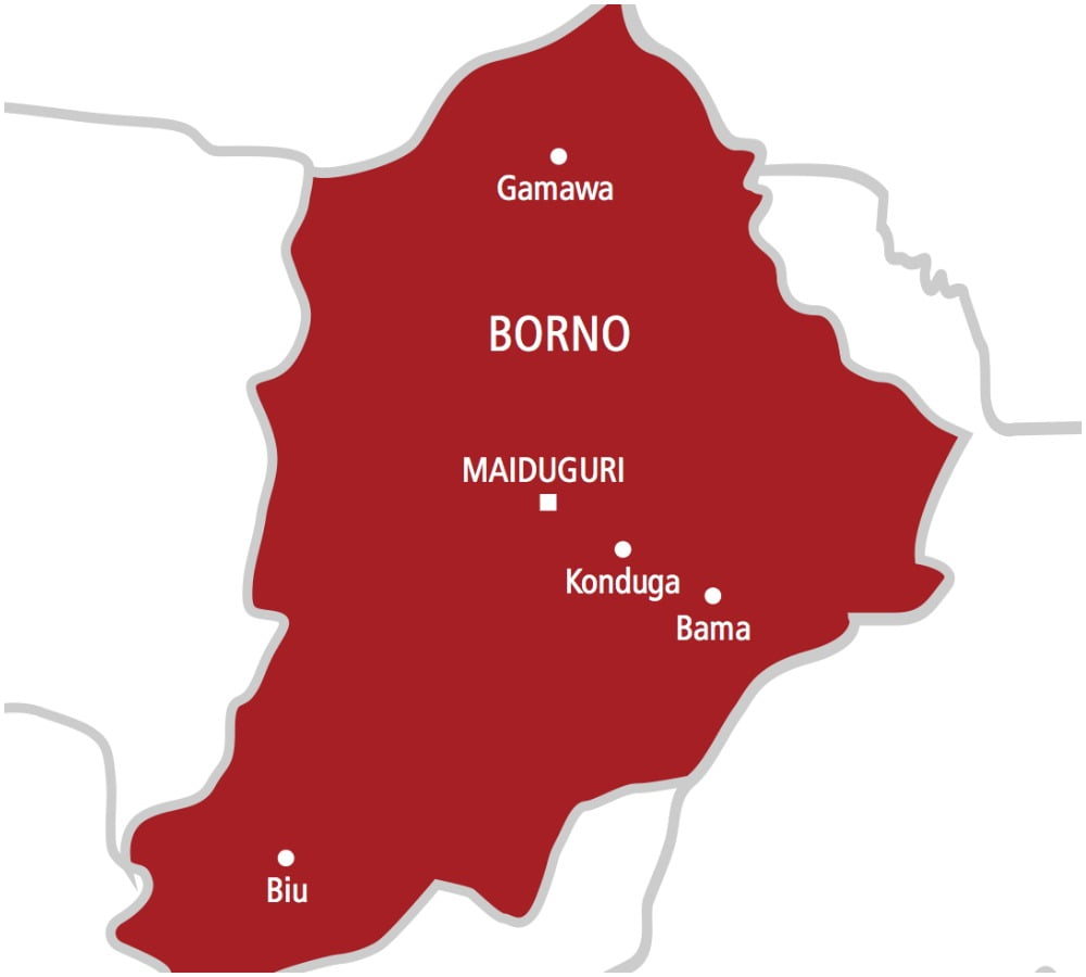 UN Condemns Mass Killing of Civilians in Borno State