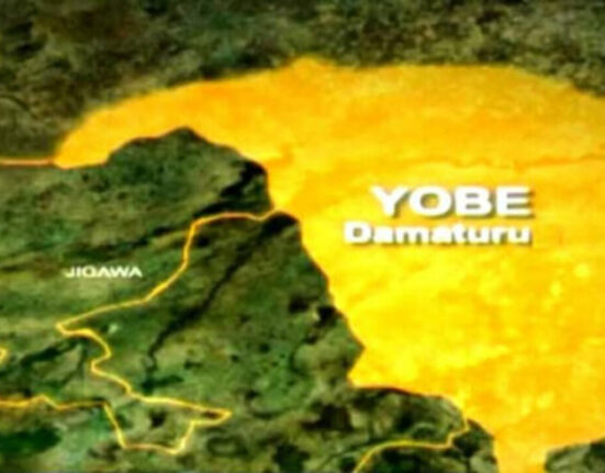 Yobe to Host Lake Chad Basin Governors’ Forum on Regional Security and Development