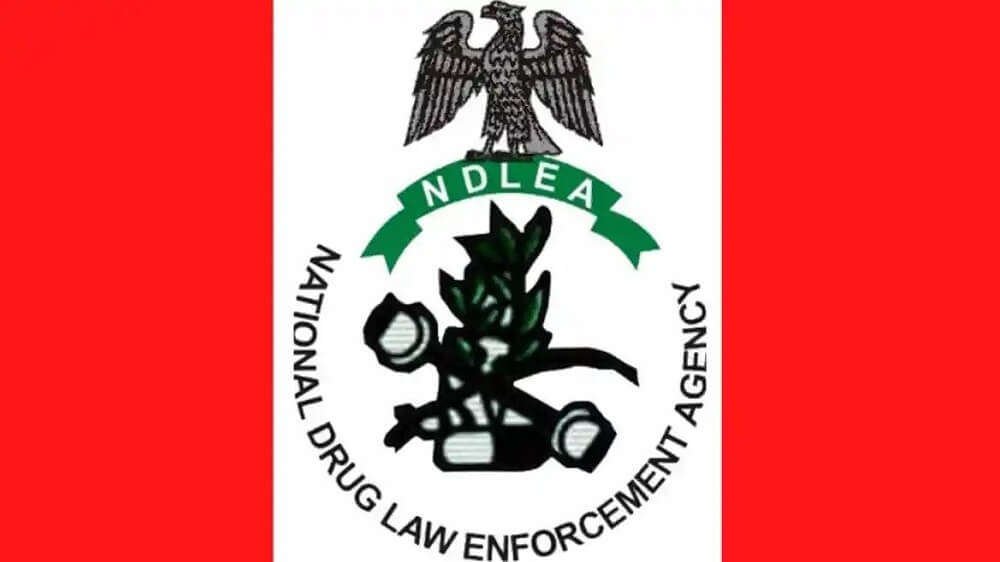 NDLEA Declares Four Suspected Drug Dealers Wanted