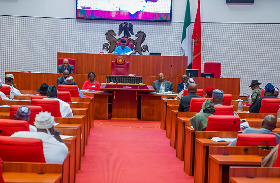 Senate Launches Probe into Niger Republic's Allegations Against Nigeria