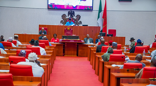 Senate Launches Probe into Niger Republic's Allegations Against Nigeria