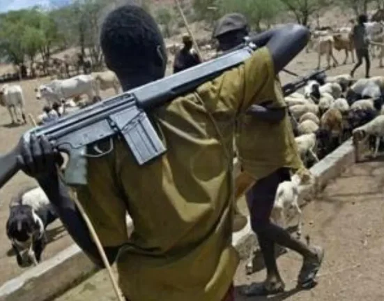 Six Killed in Suspected Herdsmen Attacks in Benue State