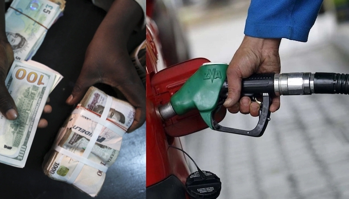 Naira Holds Steady Despite Concerns Over Petrol Prices