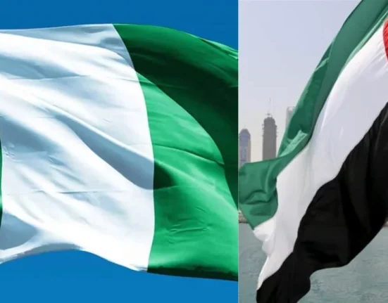 Nigeria, UAE to Discuss Visa Challenges in Fresh Talks